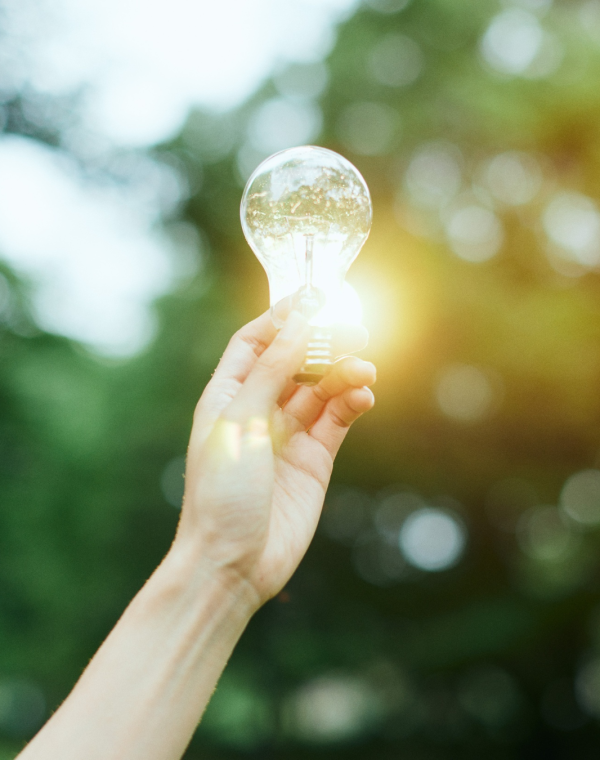 Liderazgo de Proyectos de Innovación Estratégica en Sector Salud
